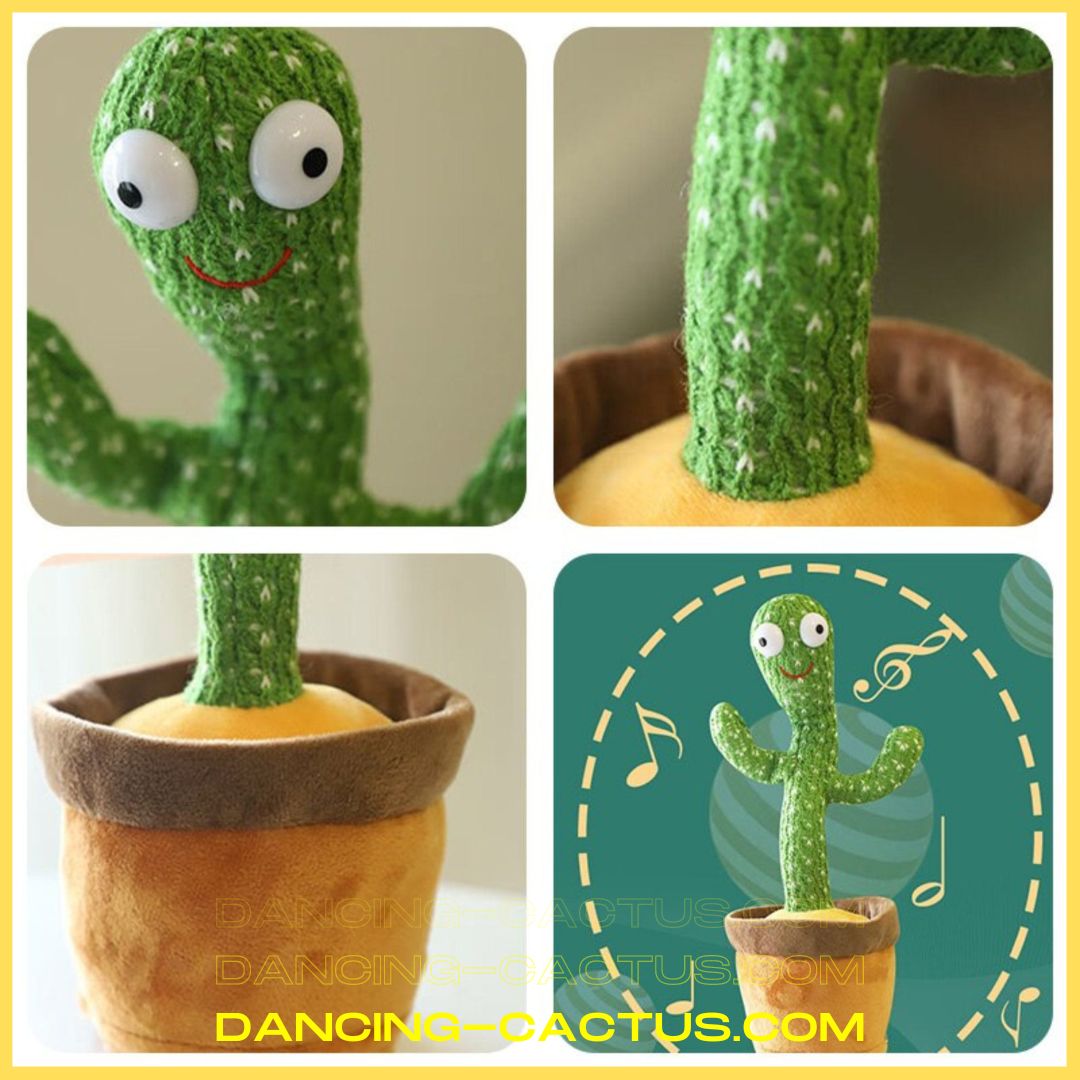 4 3 - Dancing Cactus