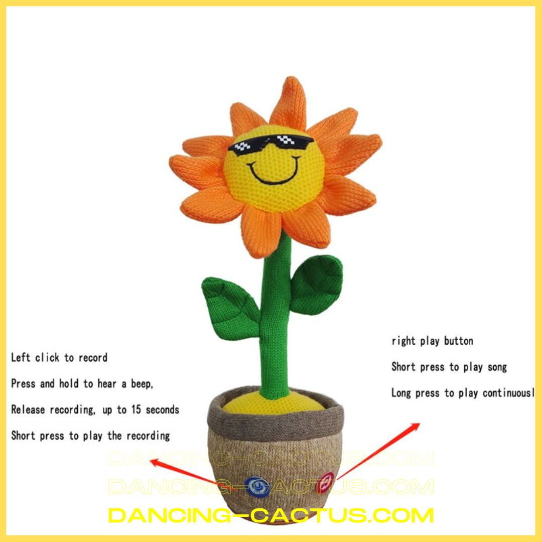 5 6 - Dancing Cactus