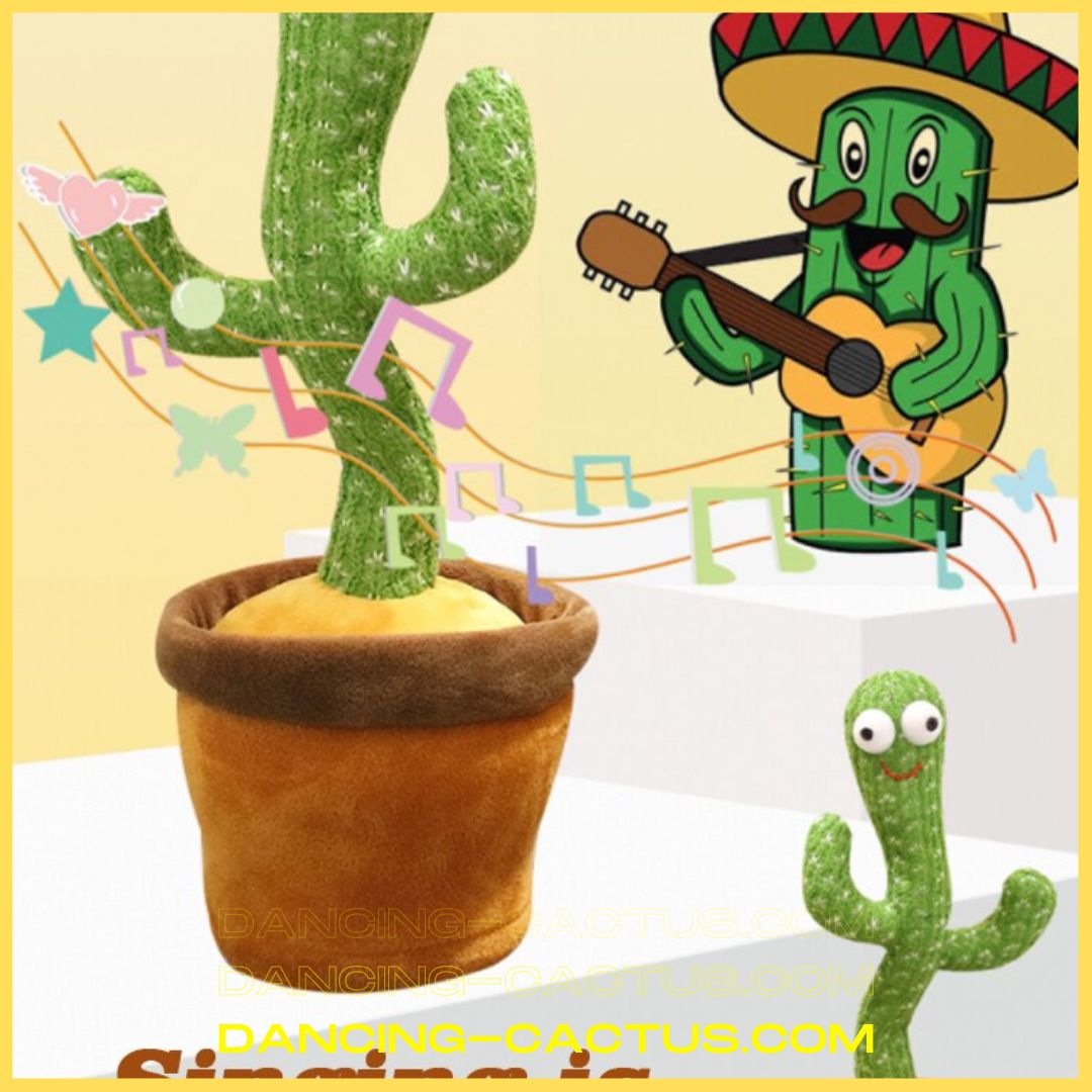 6 3 - Dancing Cactus