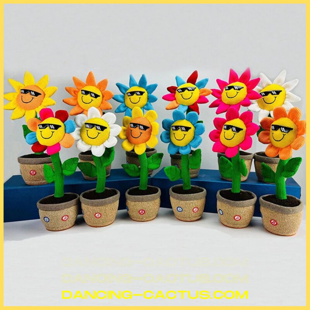 6 6 - Dancing Cactus